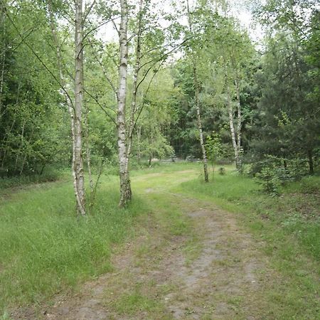 Camping Family Bronowice  Εξωτερικό φωτογραφία